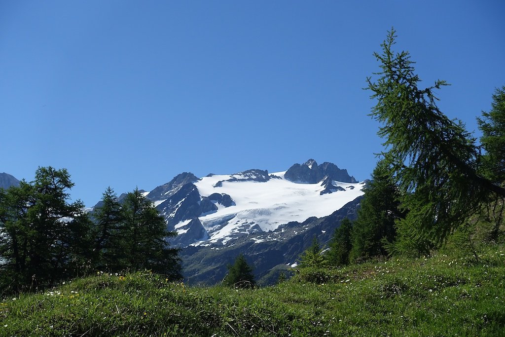 Trient, Tseppes, Col de Balme (18.06.2017)