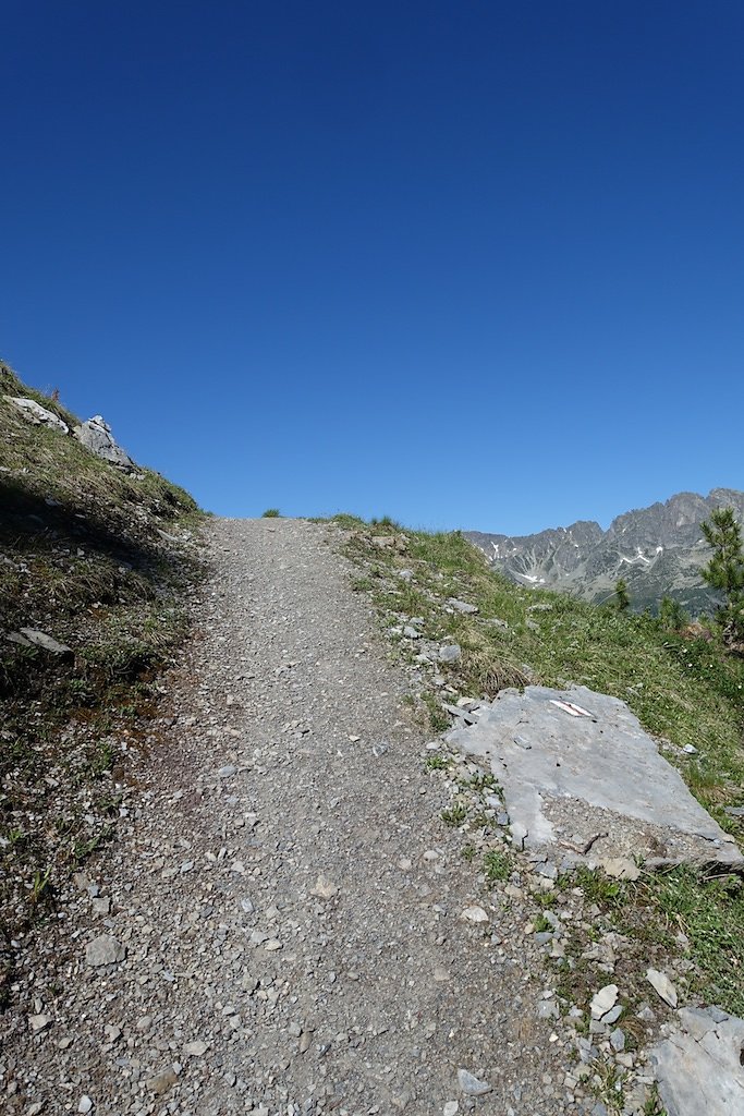 Trient, Tseppes, Col de Balme (18.06.2017)