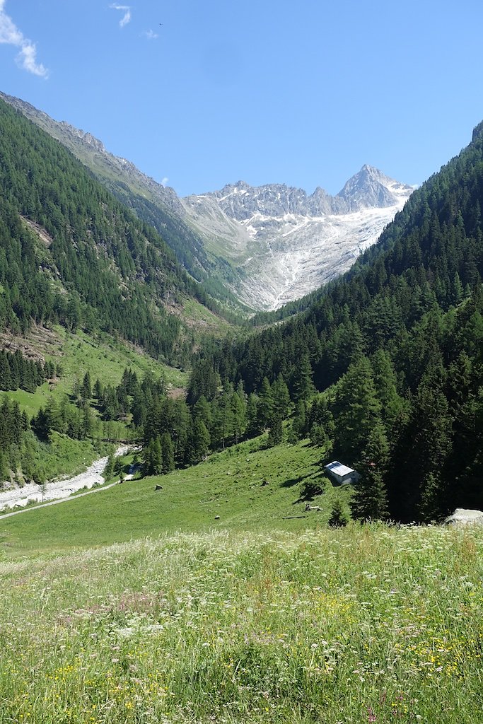 Trient, Tseppes, Col de Balme (18.06.2017)