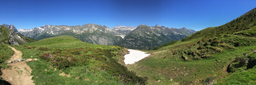 Trient, Tseppes, Col de Balme (18.06.2017)