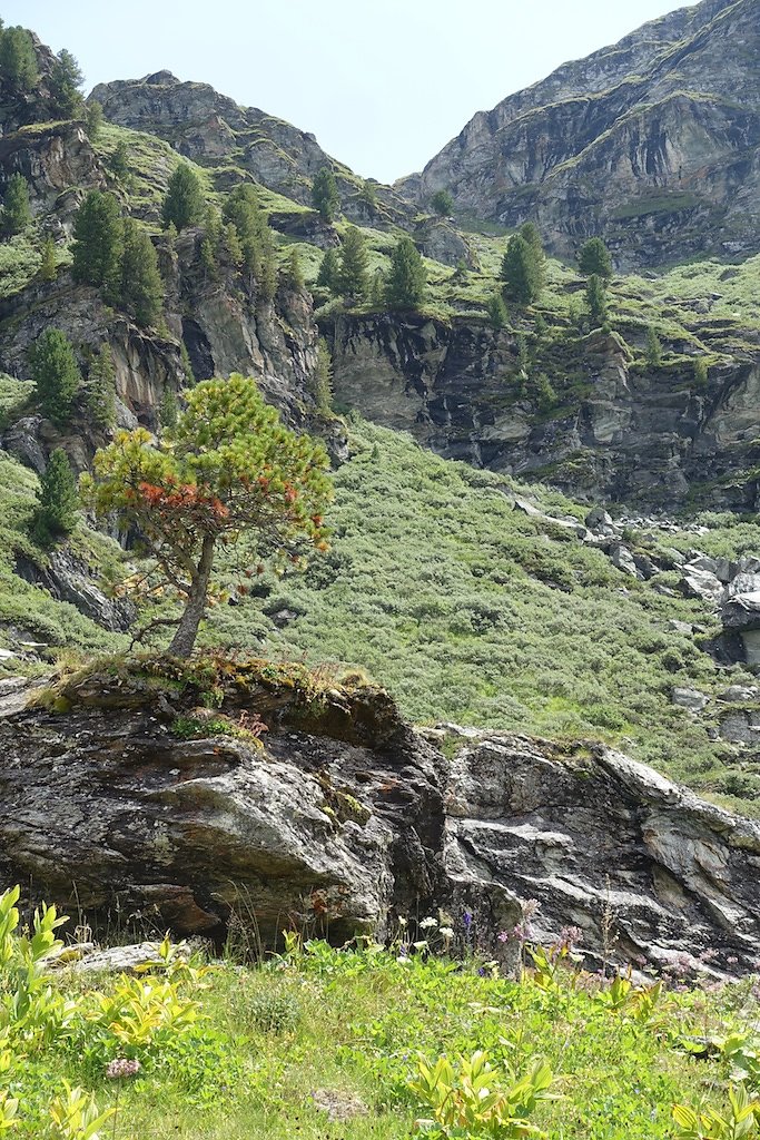 Cleuson, Lac du Gd Désert (01.08.2017)