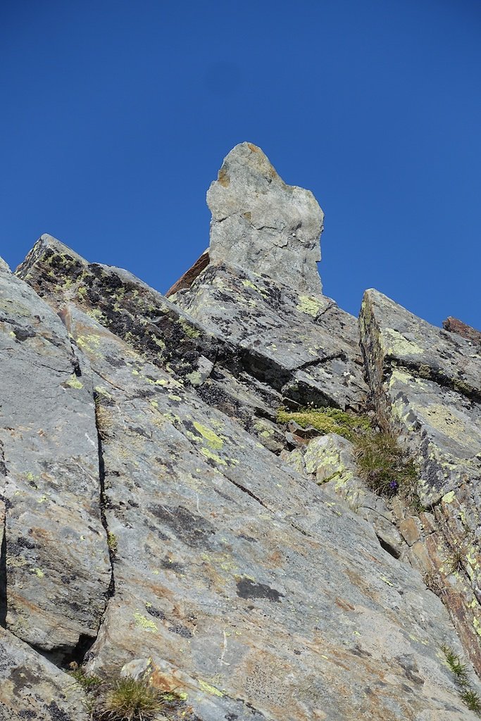 St-Bernard, Pointe de Drône (07.08.2017)