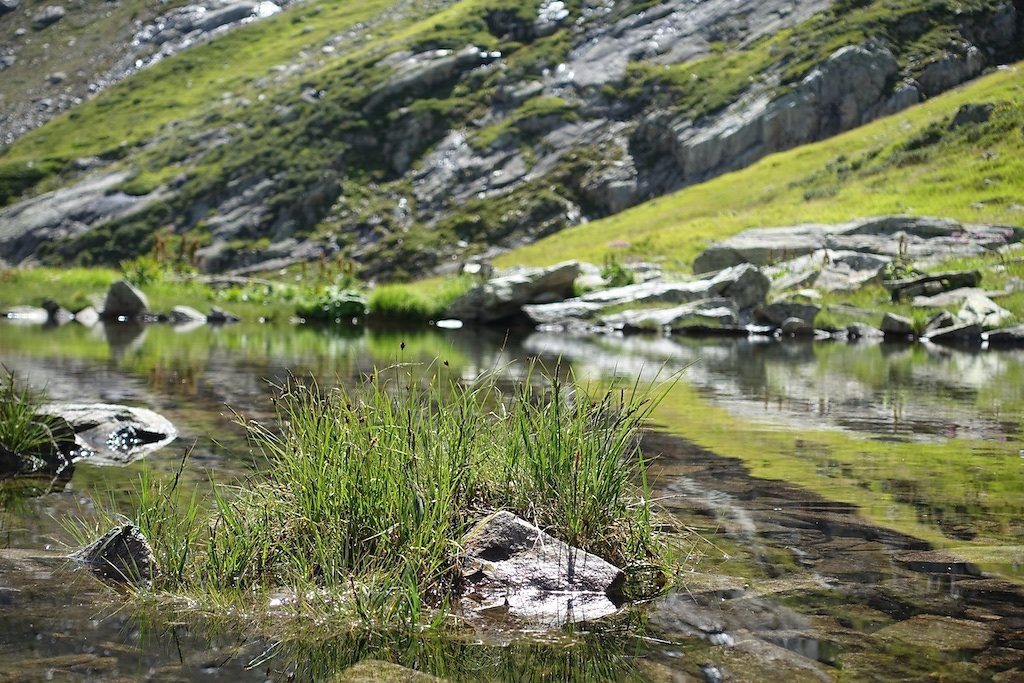 Refuge des Petoudes (14.08.2017)