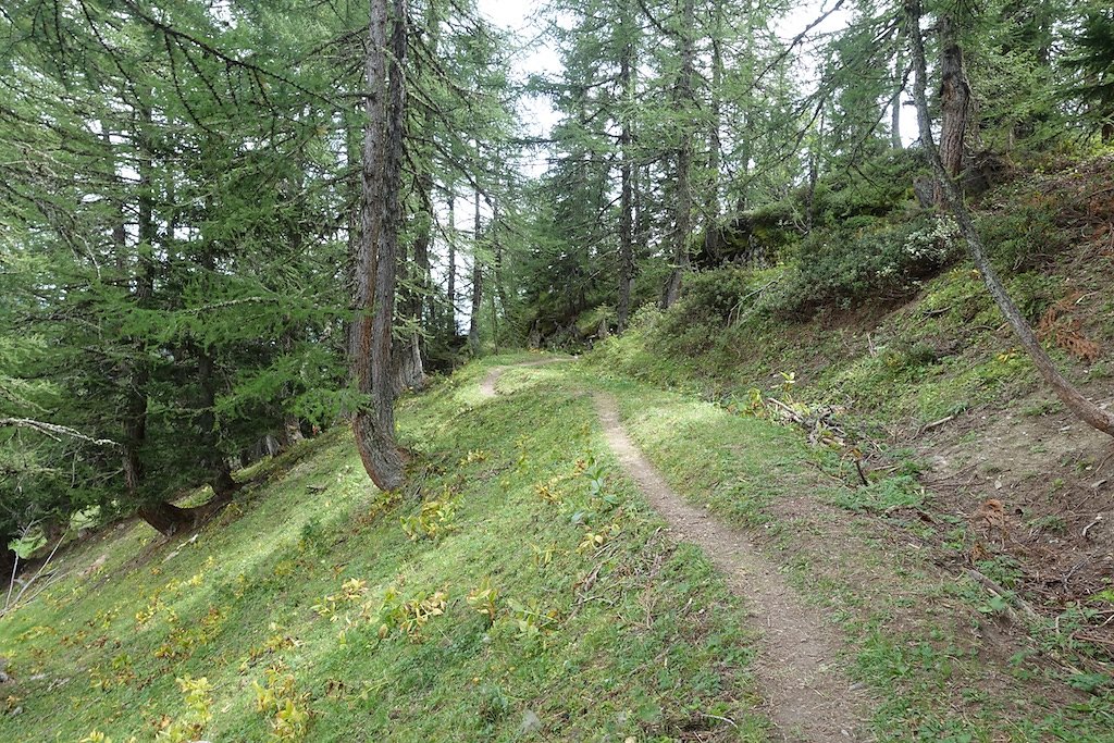 Pas de Maimbré, La Selle, Cabane des Audannes, Serin, Anzère (27.08.2017)