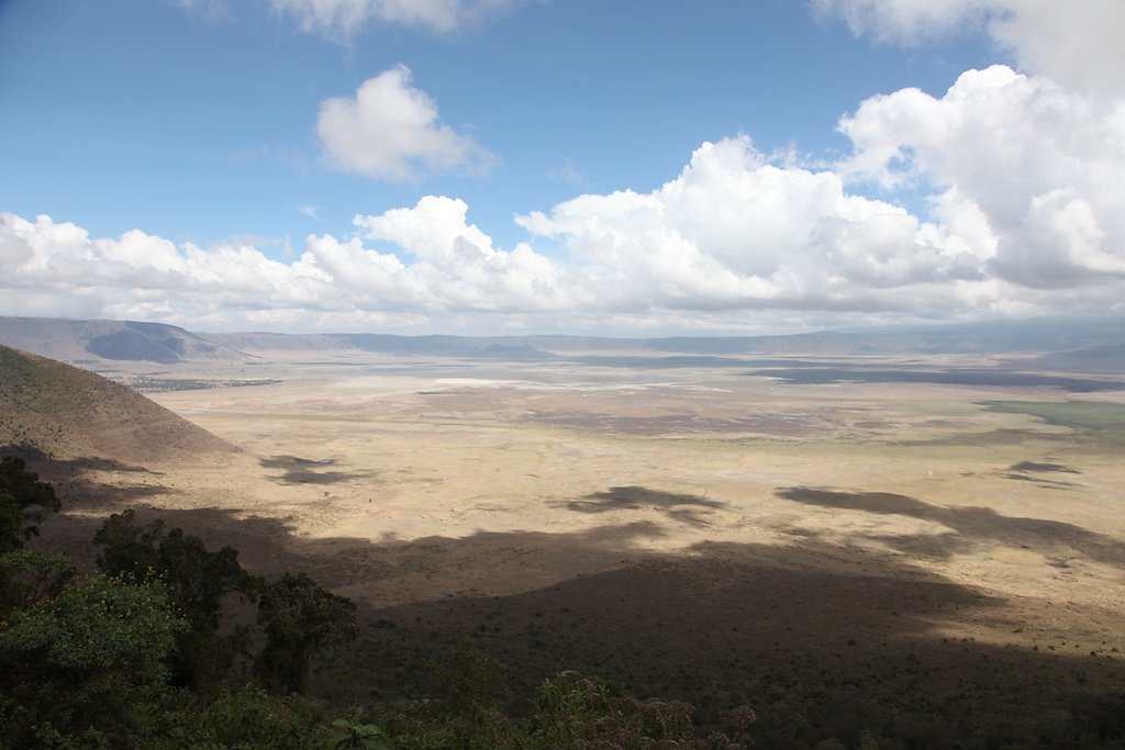 Tanzanie (2017)
