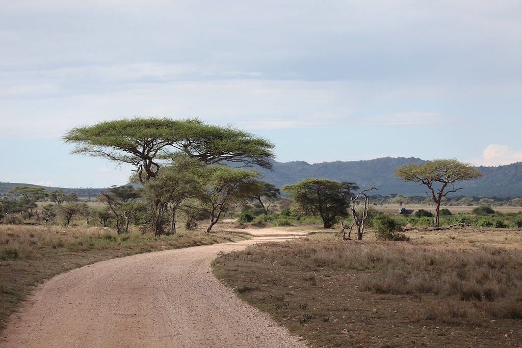 Tanzanie (2017)