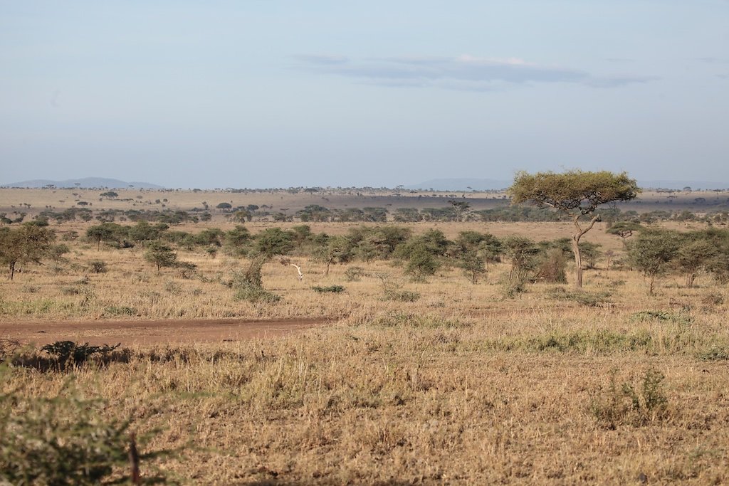 Tanzanie (2017)