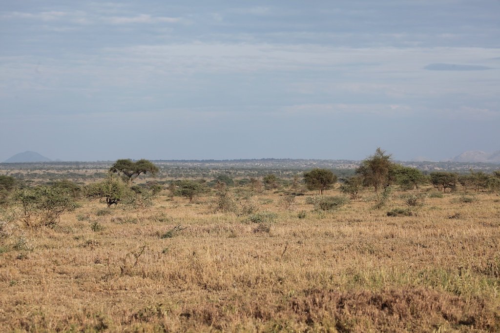 Tanzanie (2017)
