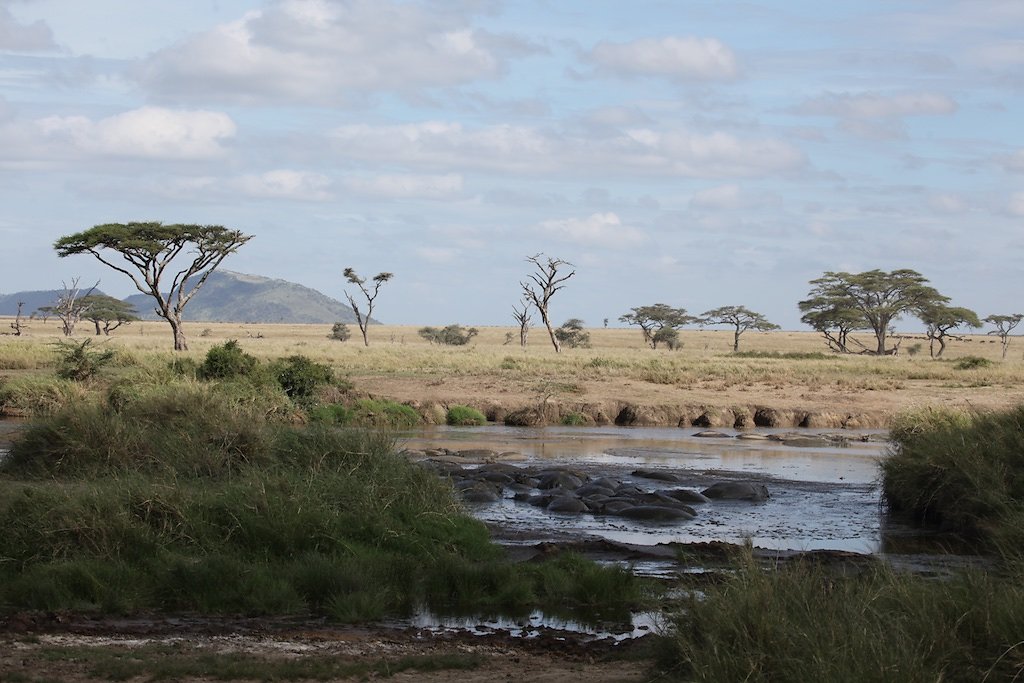 Tanzanie (2017)