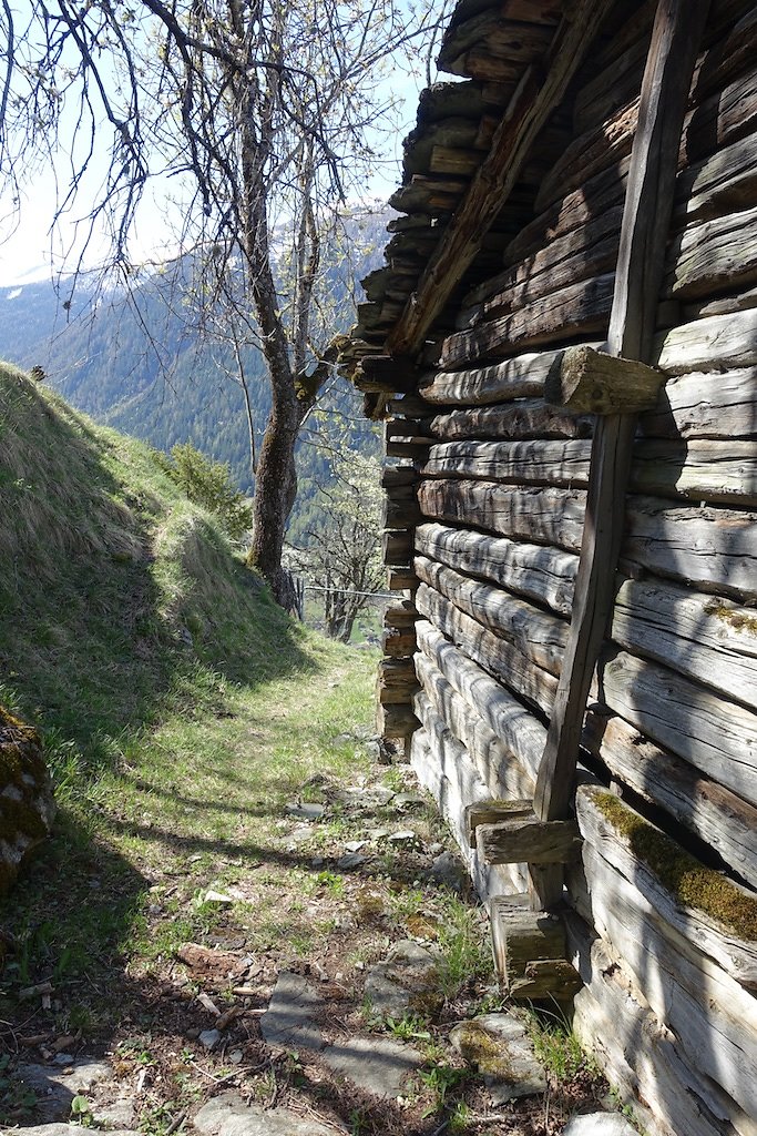 Suen, St-Martin, La Luette, Ossona, Suen (25.04.2018)