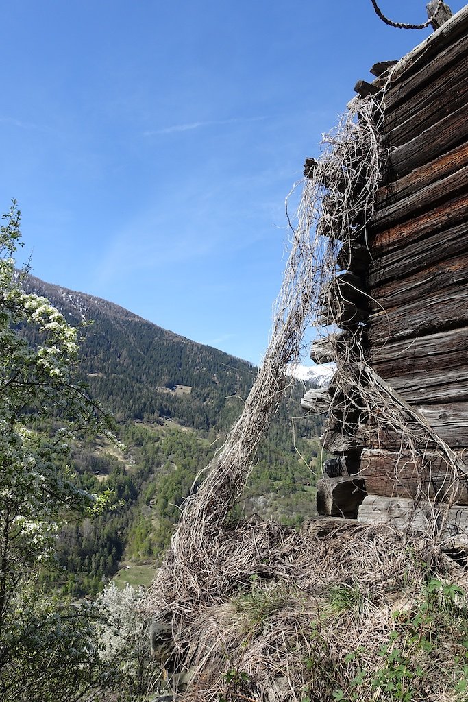 Suen, St-Martin, La Luette, Ossona, Suen (25.04.2018)