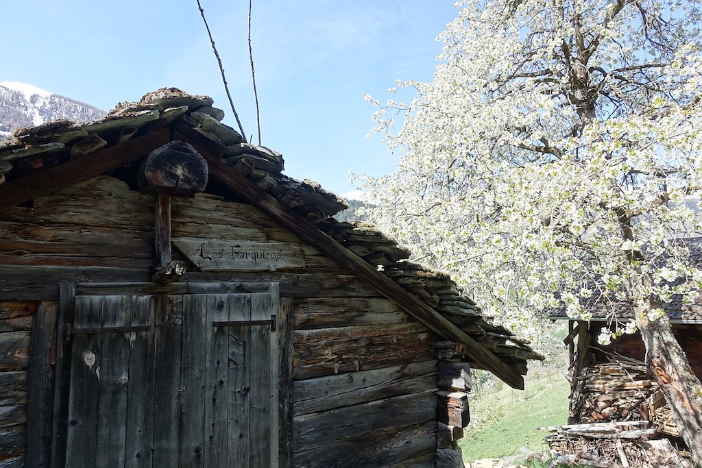 Suen, St-Martin, La Luette, Ossona, Suen (25.04.2018)