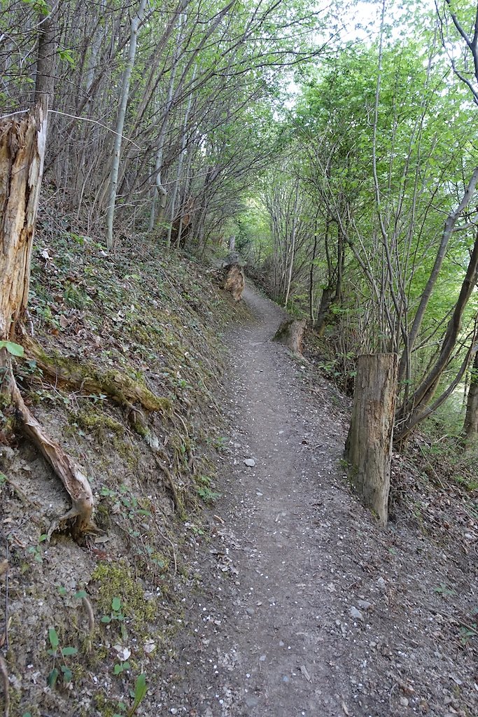 Martigny-Croix, Les Ecoteaux, Chemin-Dessus, Haut de Bovernier, Martigny-Croix (21.04.2018)