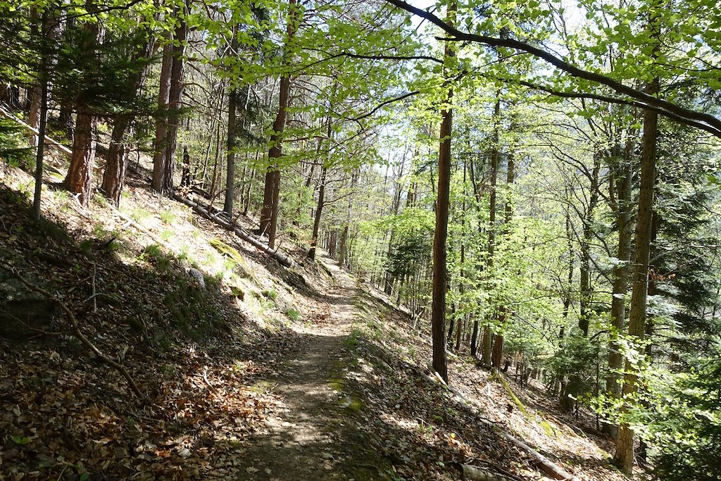 Martigny-Croix, Les Ecoteaux, Chemin-Dessus, Haut de Bovernier, Martigny-Croix (21.04.2018)