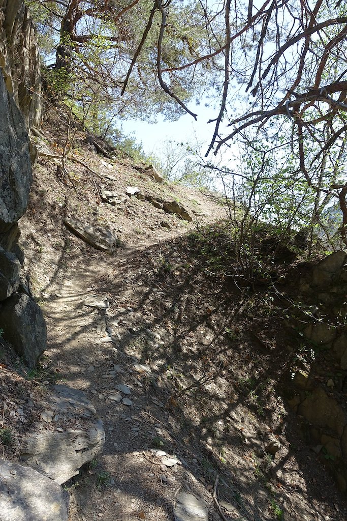 Martigny-Croix, Les Ecoteaux, Chemin-Dessus, Haut de Bovernier, Martigny-Croix (21.04.2018)