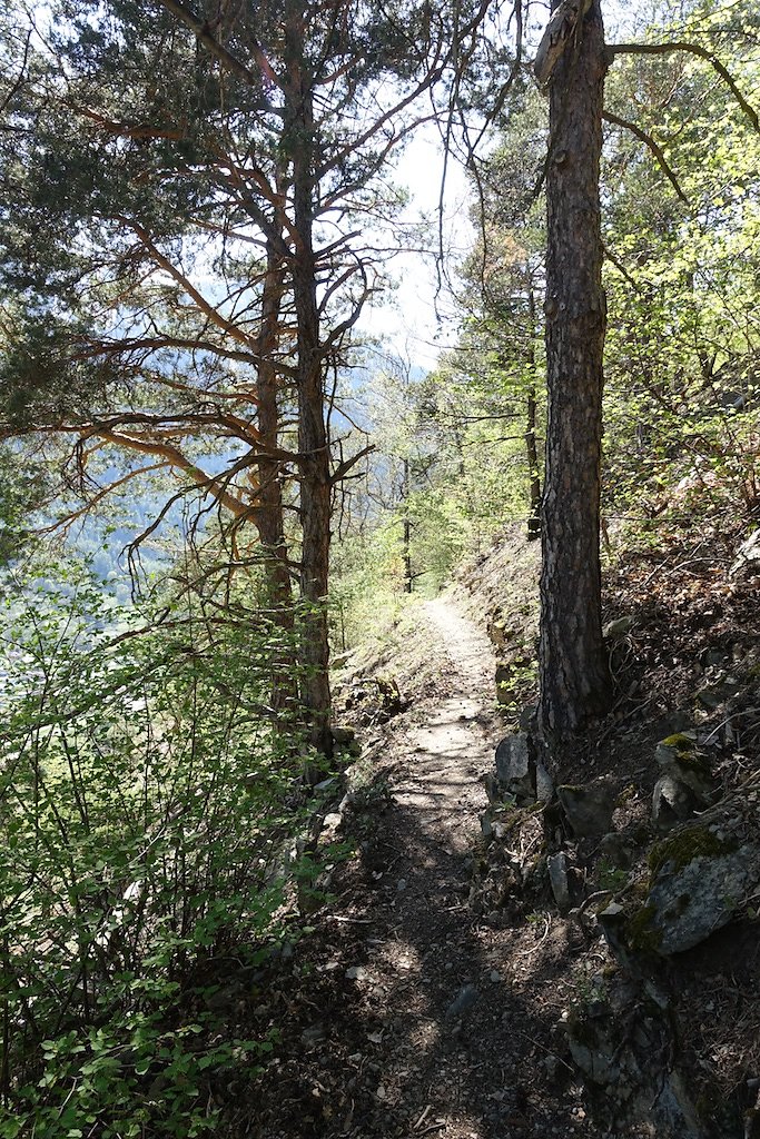 Martigny-Croix, Les Ecoteaux, Chemin-Dessus, Haut de Bovernier, Martigny-Croix (21.04.2018)