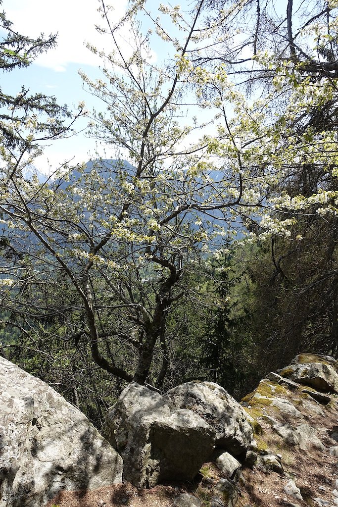 Gorges du Dailley - Vallon de Van (28.04.2018)