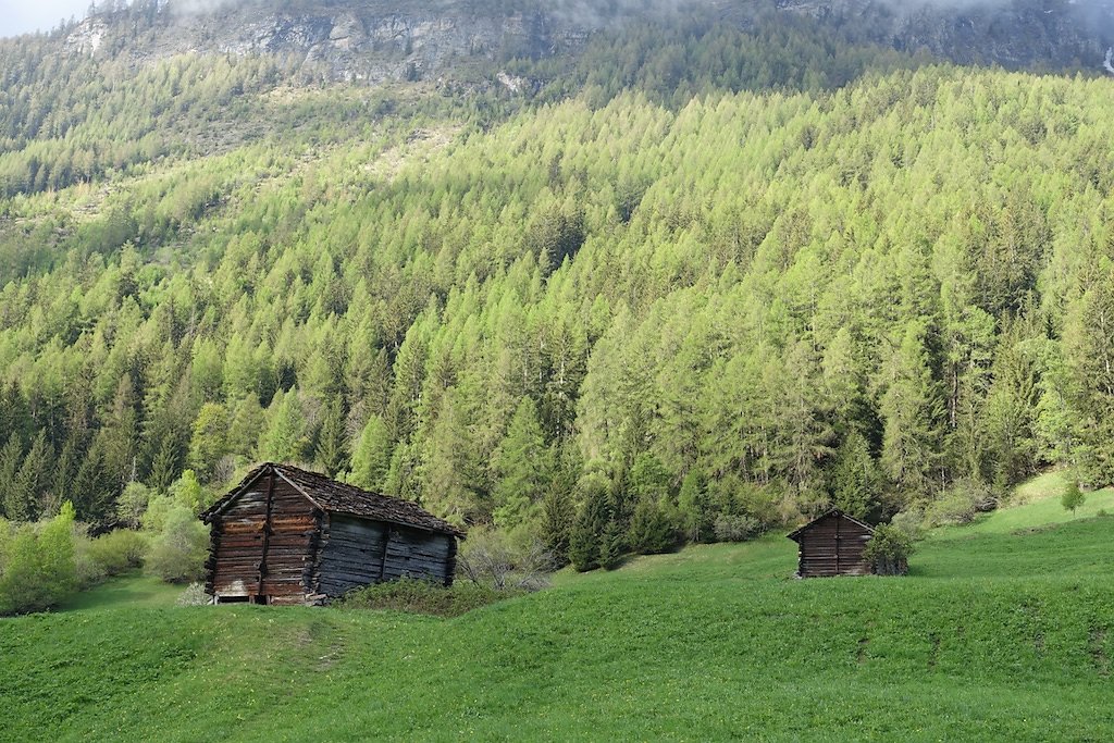 Evolène - Les Haudères - Farquèses - La Giette - Lac d'Arbey - Evolène (13.05.2018)