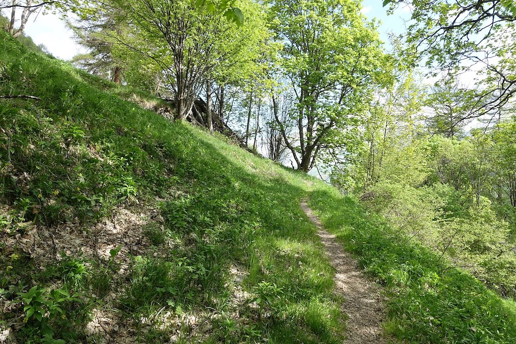 Evolène - Les Haudères - Farquèses - La Giette - Lac d'Arbey - Evolène (13.05.2018)