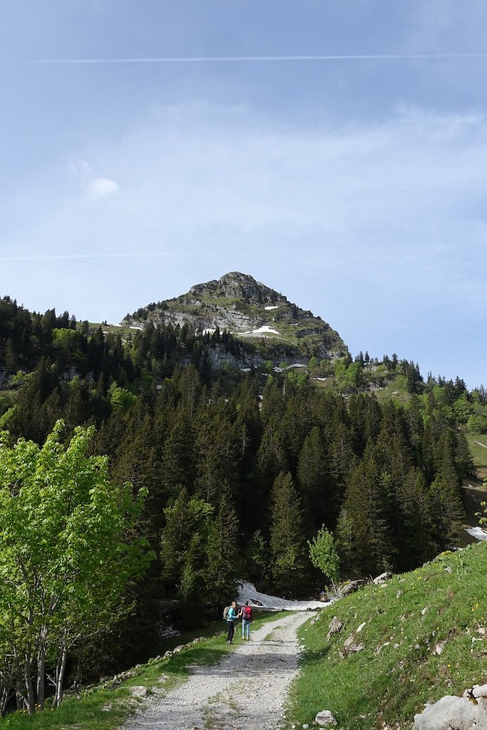 Col de Jaman, Dent de Jaman (26.05.2018)