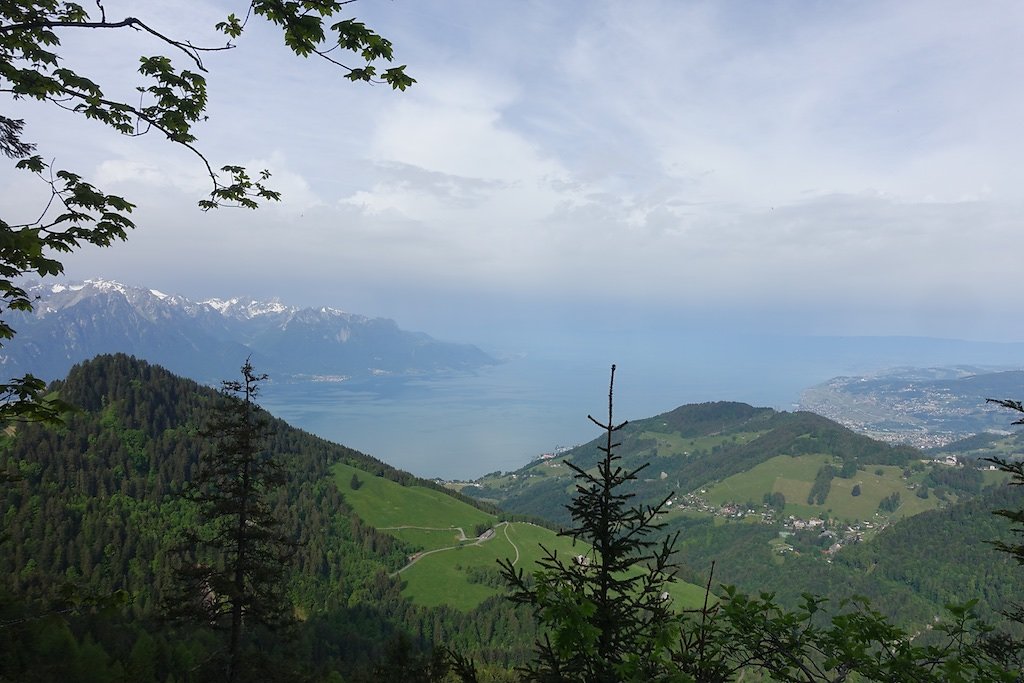 Col de Jaman, Dent de Jaman (26.05.2018)