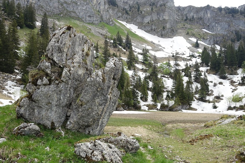 Col de Jaman, Dent de Jaman (26.05.2018)