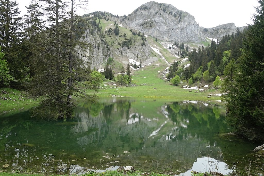 Col de Jaman, Dent de Jaman (26.05.2018)