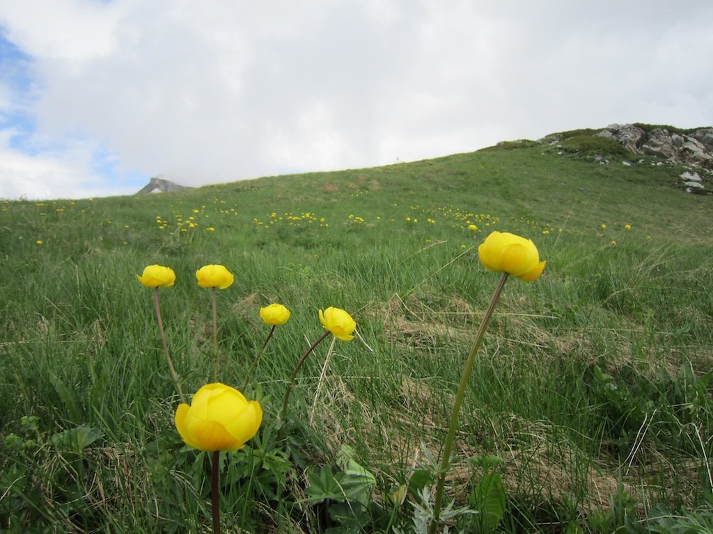 Gîte de Lodze (09.06.2018)