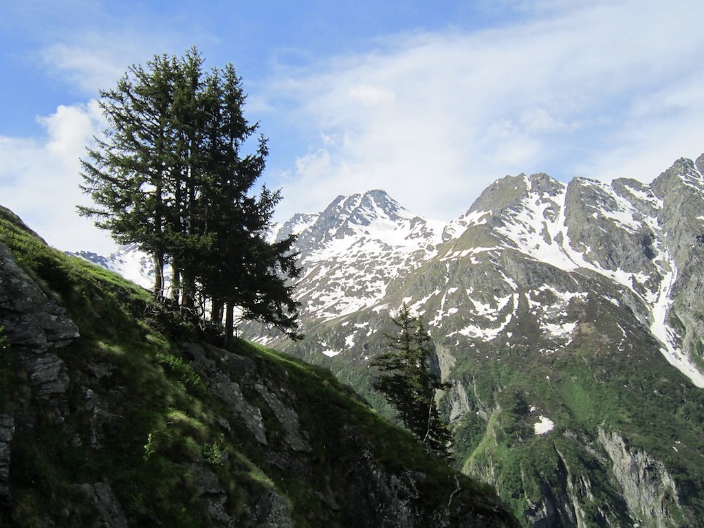 Bonatschiesse, Ecurie du Cret, Ecurie du Vasevay (10.06.2018)