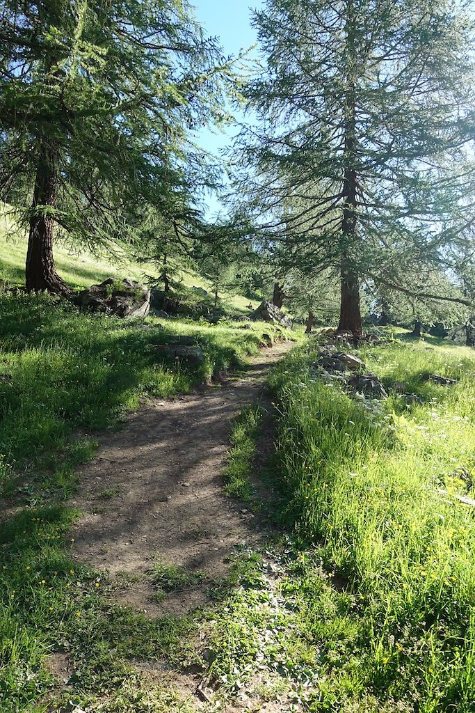 Fafleralp - Anenhütte (23.06.2018)