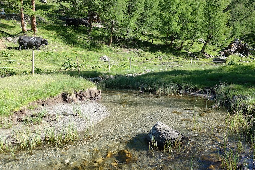 Fafleralp - Anenhütte (23.06.2018)