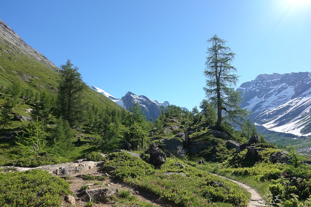 Fafleralp - Anenhütte (23.06.2018)