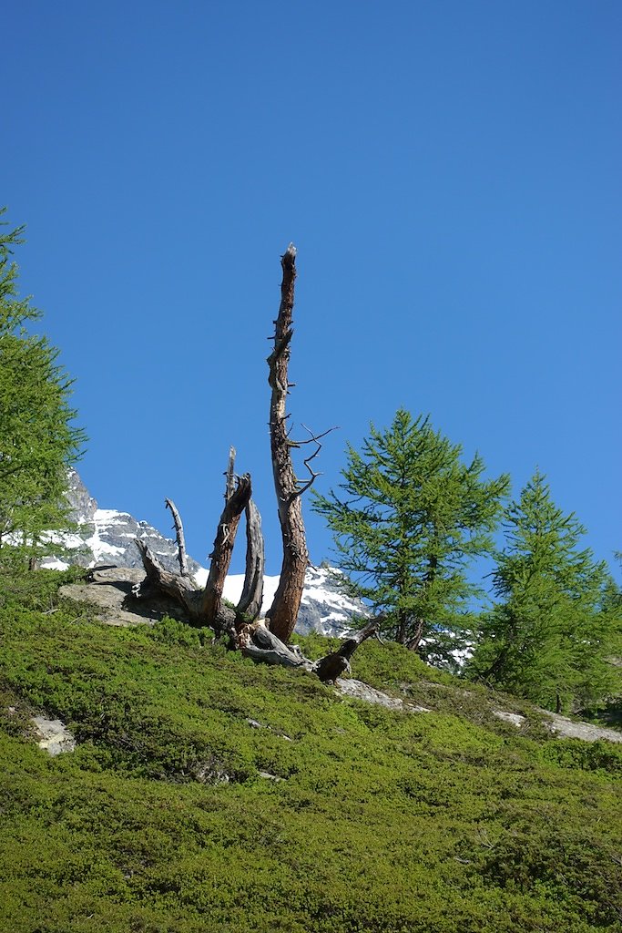 Fafleralp - Anenhütte (23.06.2018)