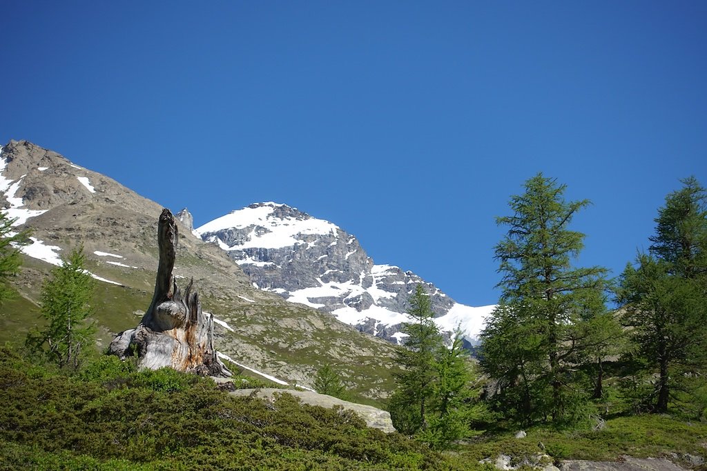 Fafleralp - Anenhütte (23.06.2018)