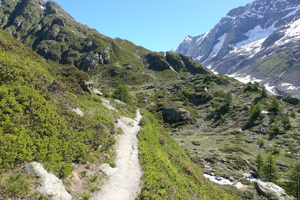 Fafleralp - Anenhütte (23.06.2018)