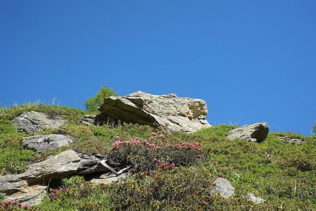 Fafleralp - Anenhütte (23.06.2018)