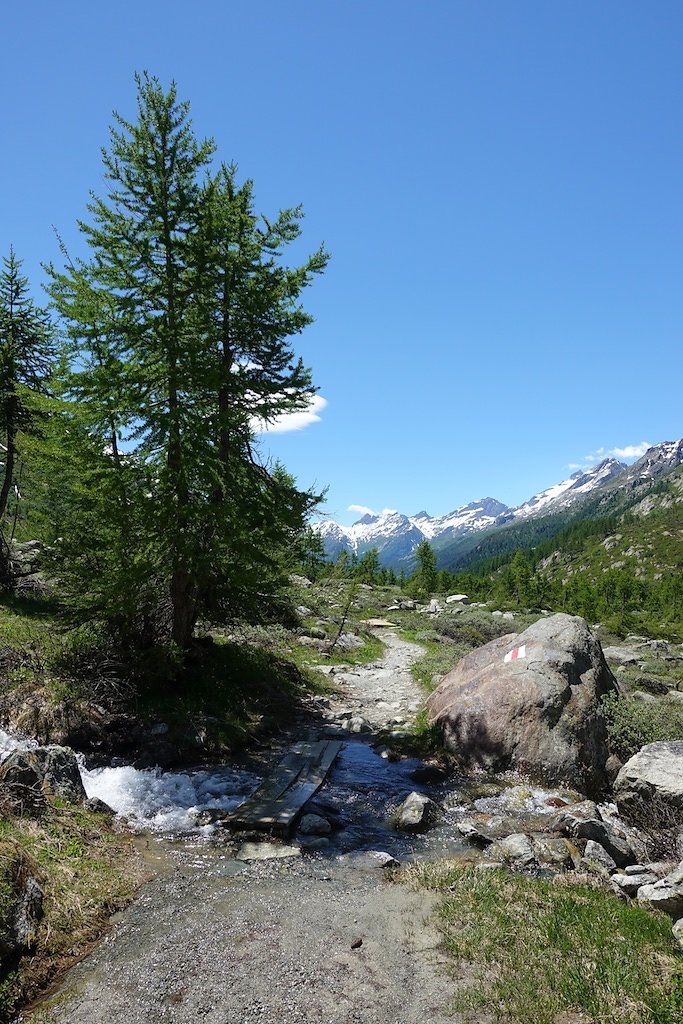 Fafleralp - Anenhütte (23.06.2018)