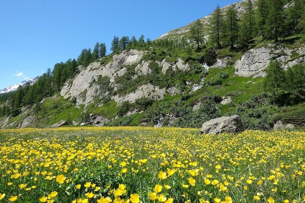 Fafleralp - Anenhütte (23.06.2018)