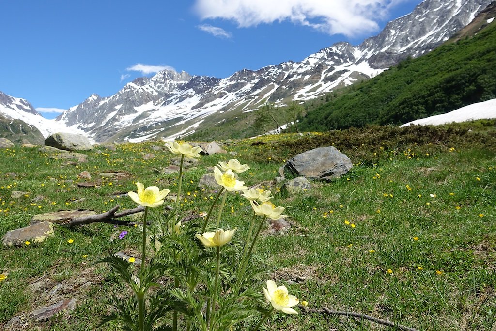 Fafleralp - Anenhütte (23.06.2018)