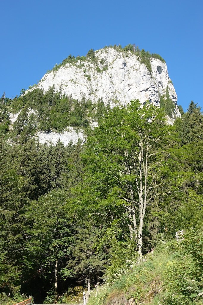 Le Flon, Lac de Taney, Le Grammont et Alamont (07.07.2018)