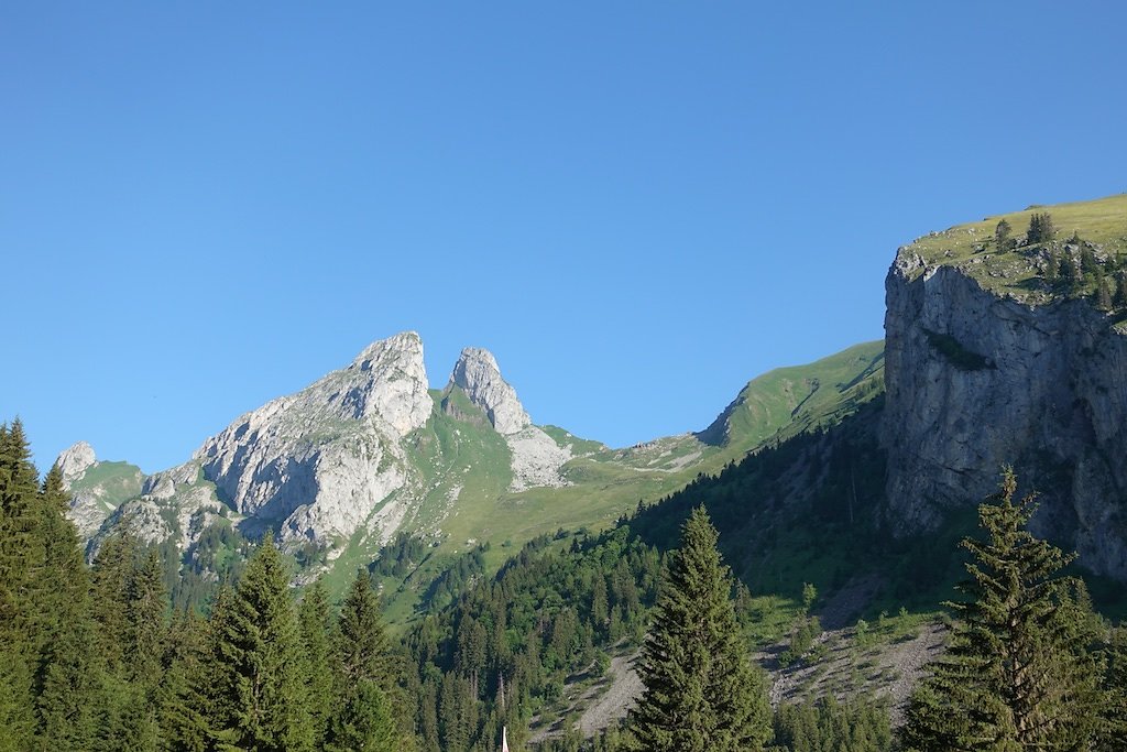 Le Flon, Lac de Taney, Le Grammont et Alamont (07.07.2018)