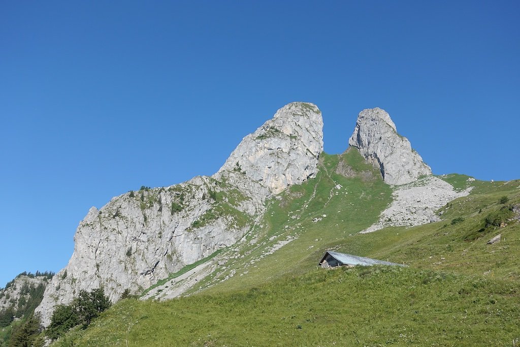 Le Flon, Lac de Taney, Le Grammont et Alamont (07.07.2018)