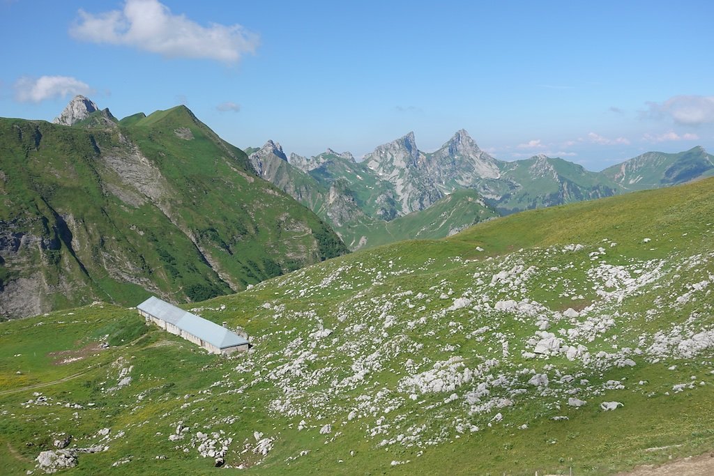 Le Flon, Lac de Taney, Le Grammont et Alamont (07.07.2018)