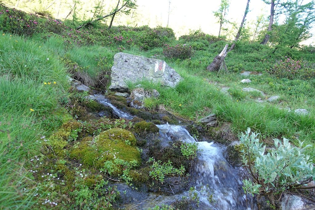 Bietschhornhütte, Lötschental (08.07.2018)