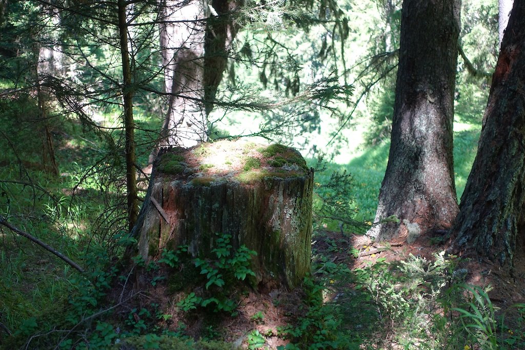 Bietschhornhütte, Lötschental (08.07.2018)