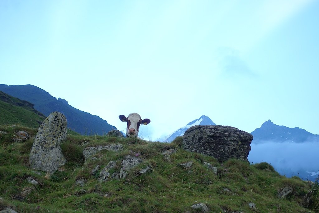 Cabane Valsorey (10.07.2018)