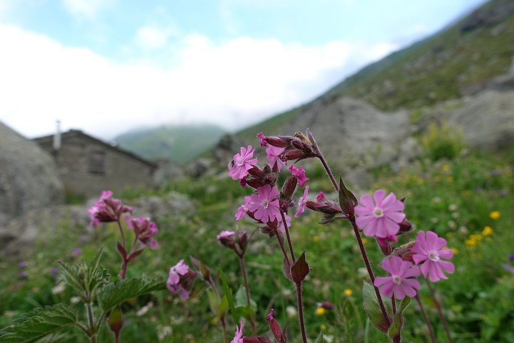 Cabane Valsorey (10.07.2018)