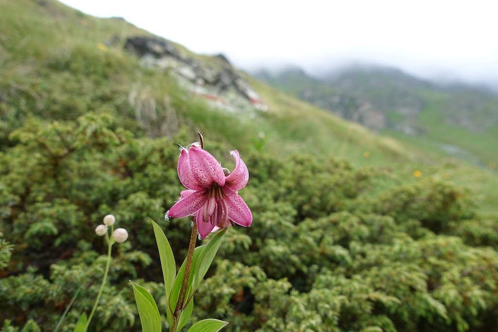 Cabane Valsorey (10.07.2018)