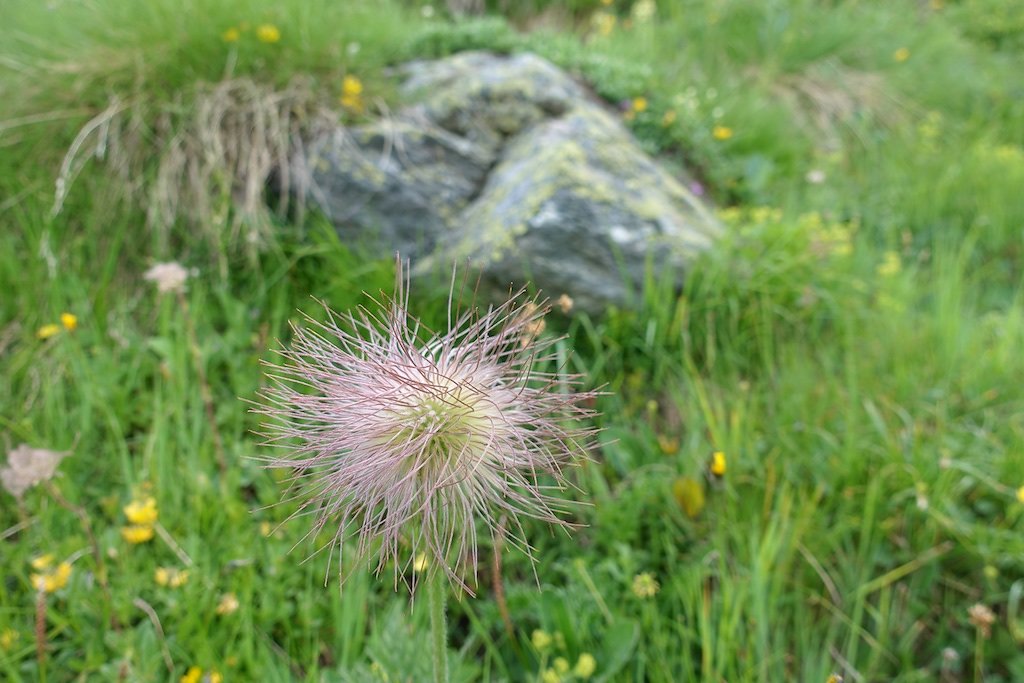 Cabane Valsorey (10.07.2018)