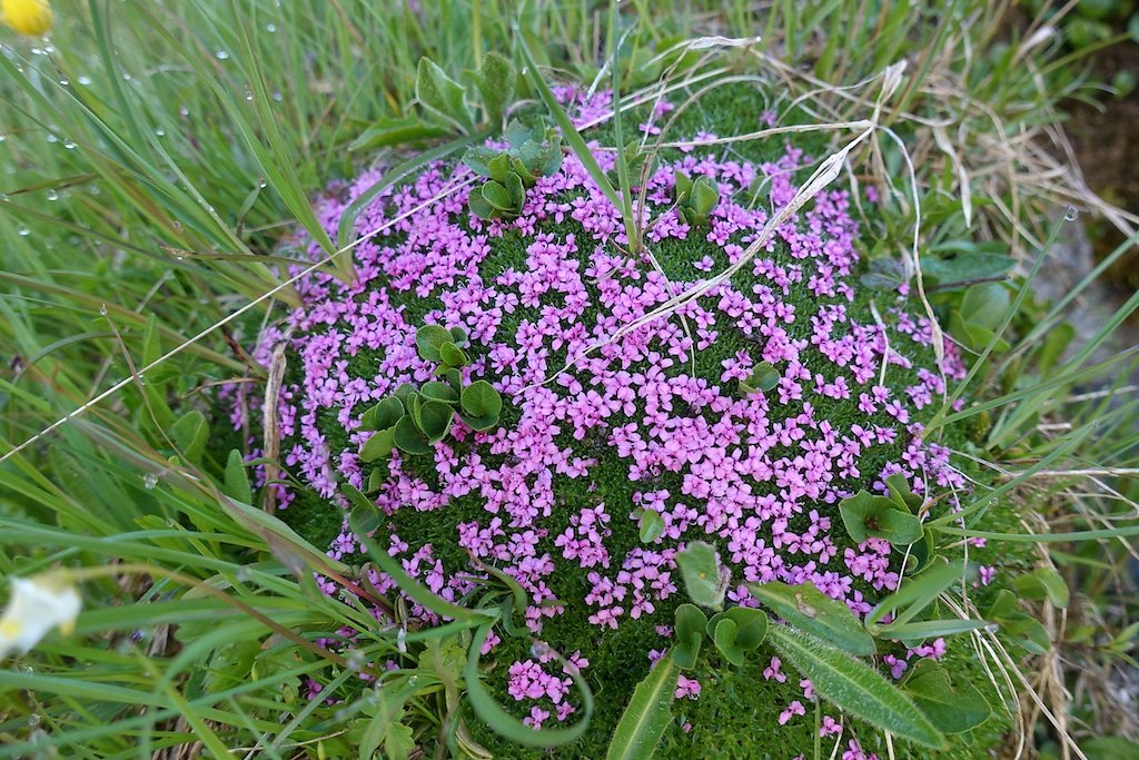 Cabane Valsorey (10.07.2018)